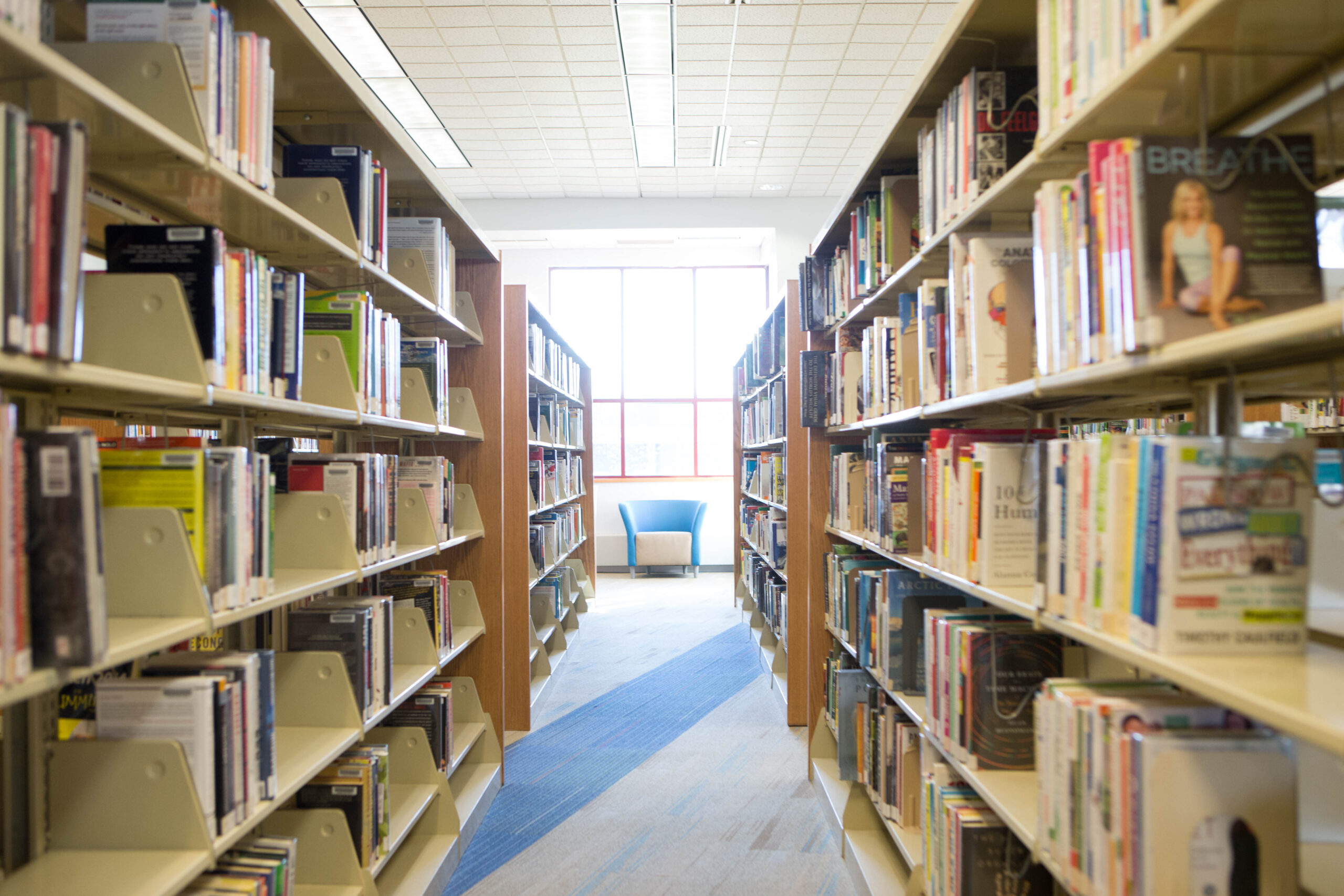https://lms86.com/wp-content/uploads/2018/11/Willowick-Library-3-scaled.jpg